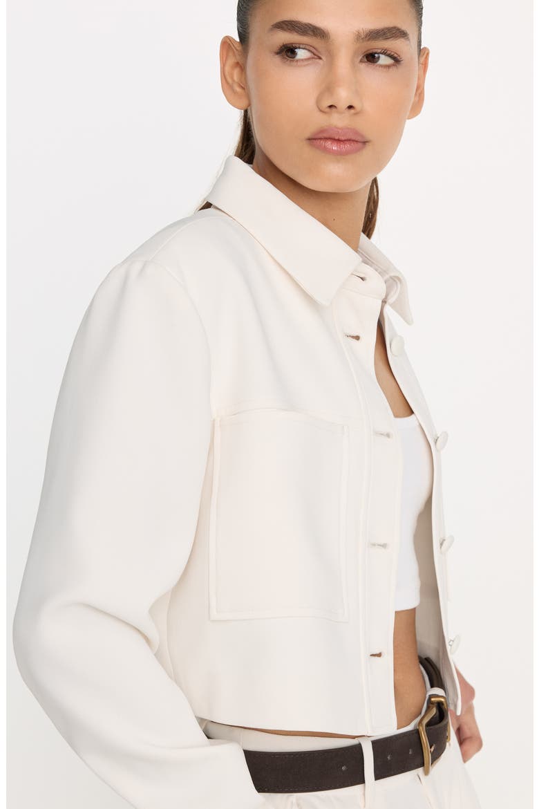 Luxe Crop Jacket, Alternate, color, SOFT SHELL