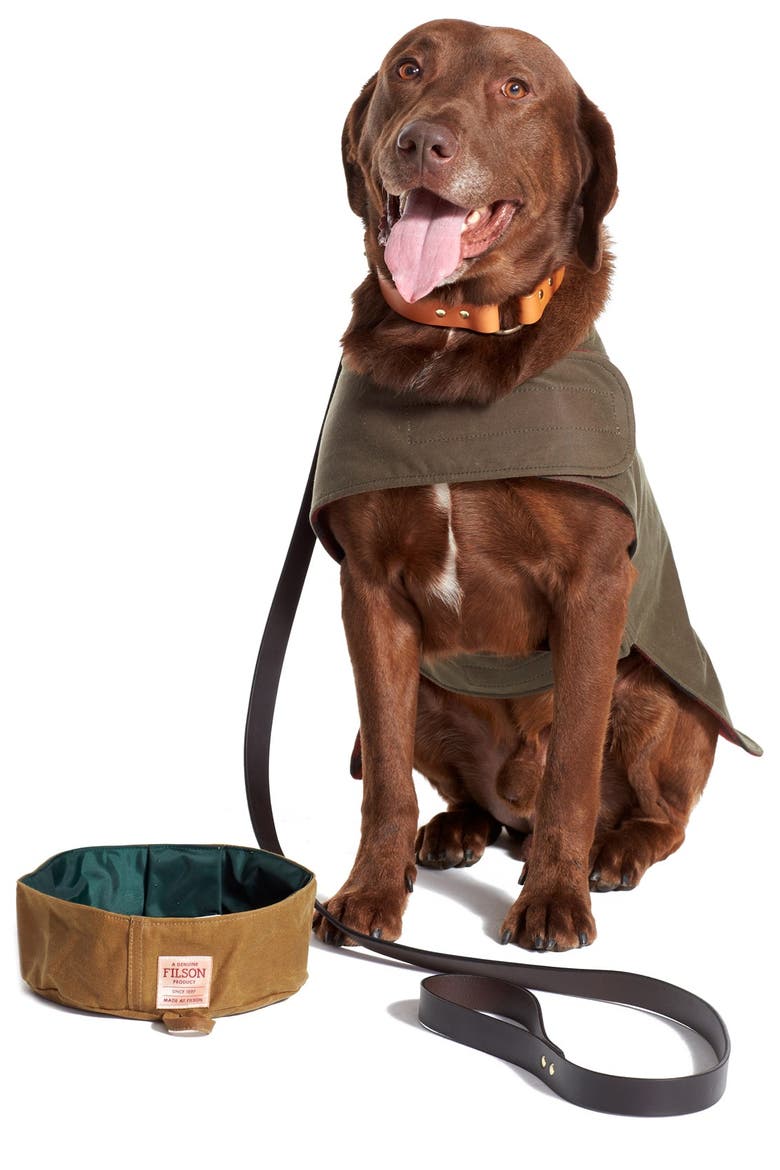 'Shelter' Water Repellent Reversible Dog Coat, Alternate, color, OTTER GREEN