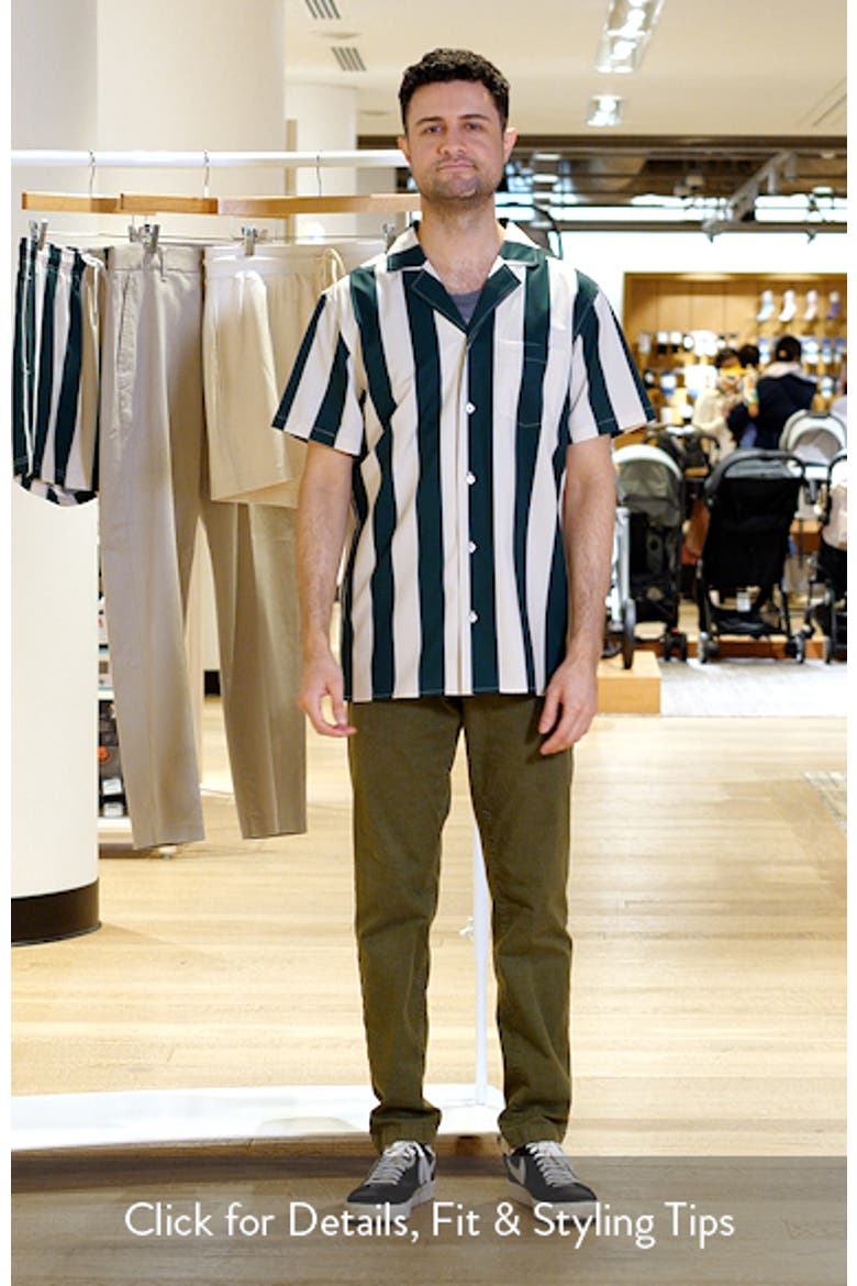 Emerald Heritage Week Stripe Short Sleeve Button-Up Shirt video