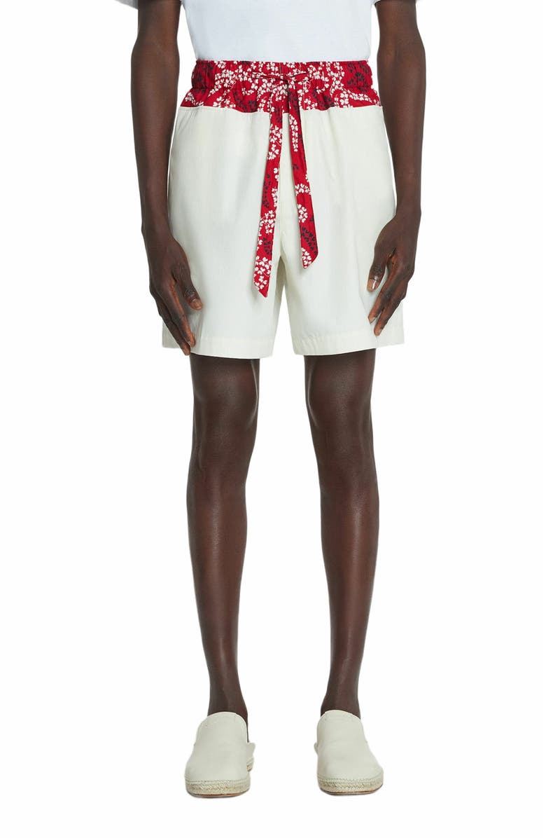 Lanvin Printed Cotton Shorts, Alternate, color, 