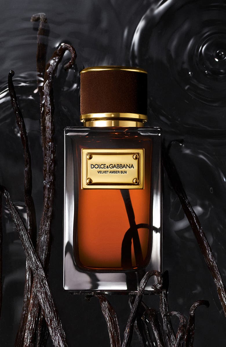Dolce&Gabbana Velvet Amber Sun Eau de Parfum, Alternate, color, 
