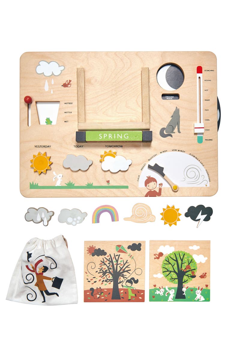 Tender Leaf Toys Weather Watch Board, Alternate, color, Multi