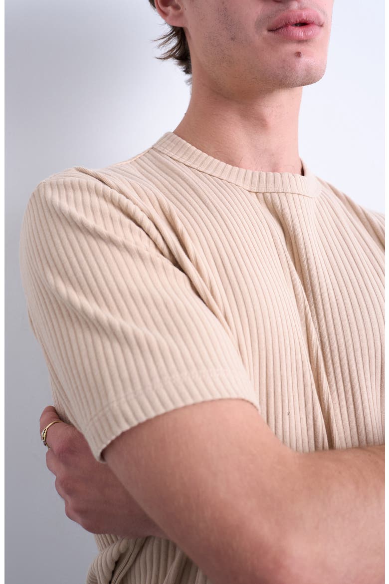 Heavyweight Rib T-Shirt, Alternate, color, CAMEL