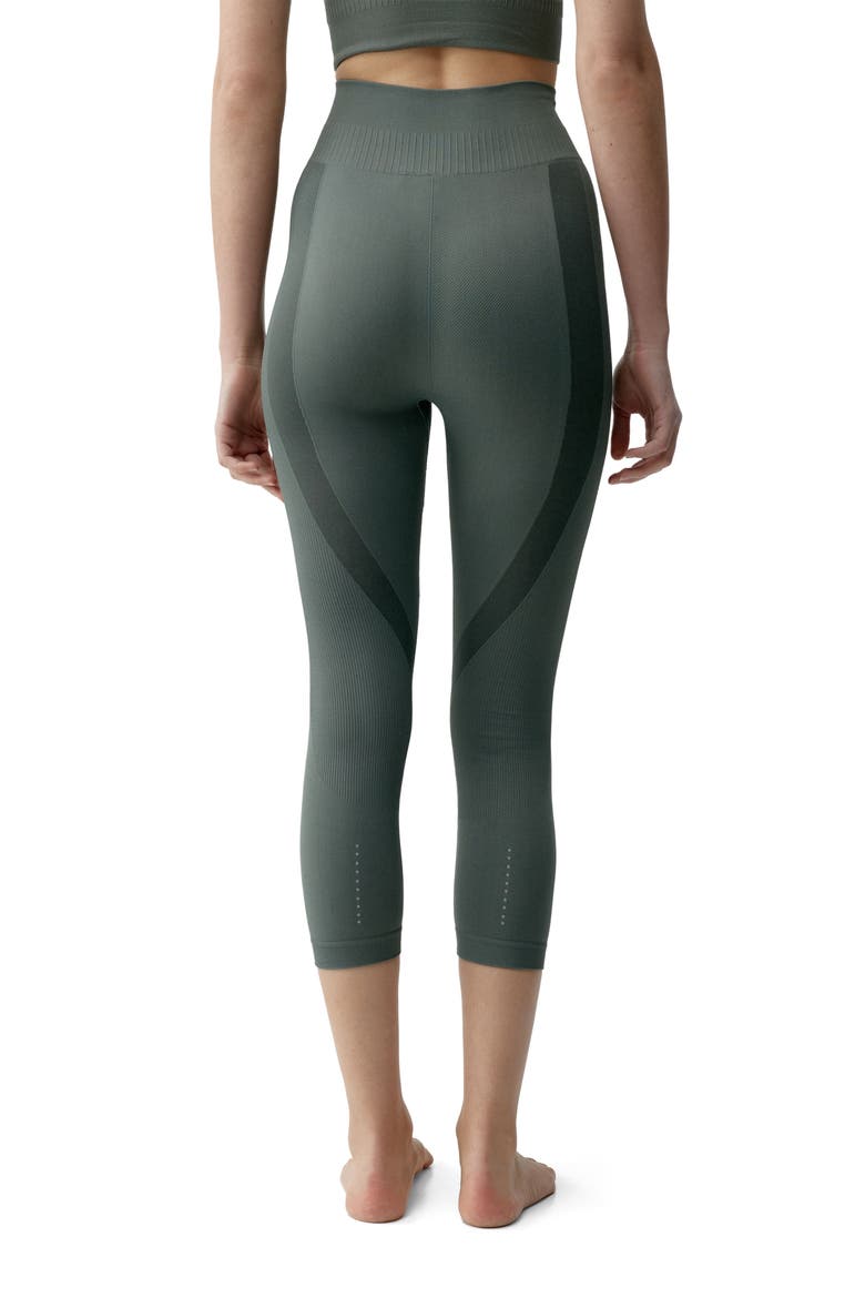 Eris Seamless Capri Sports Legging, Alternate, color, Tea