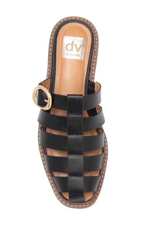 Dolce Vita Dv By  Fyona Mule Sandal In Black