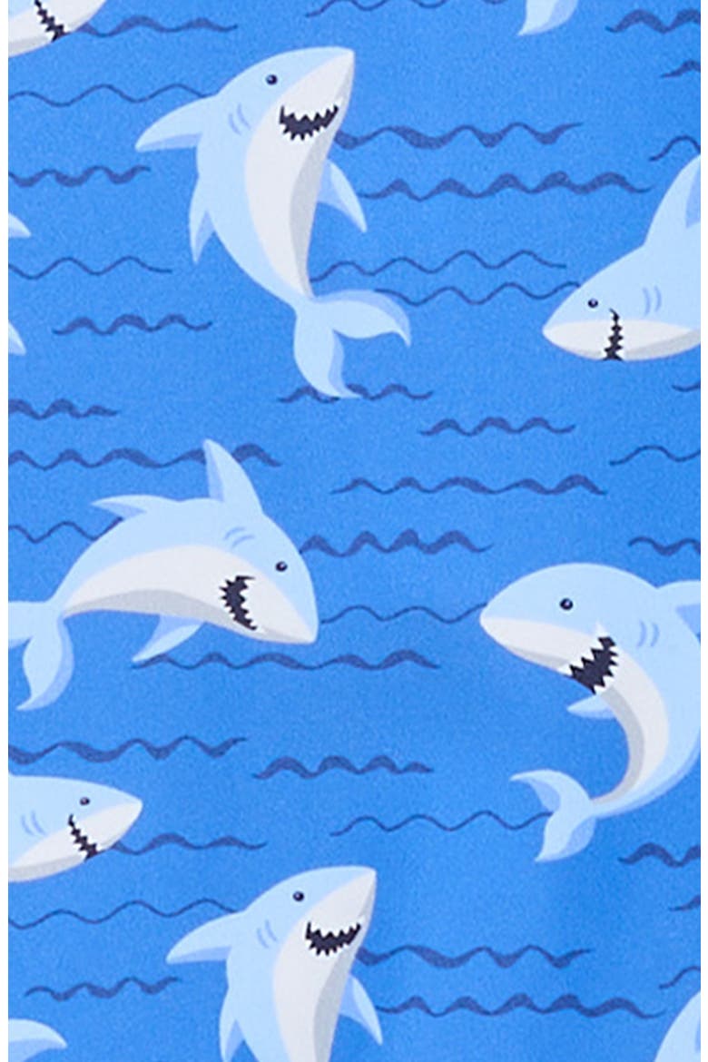 Long Sleeve UPF 50+ One-Piece Rashguard Swimsuit, Alternate, color, BLUE