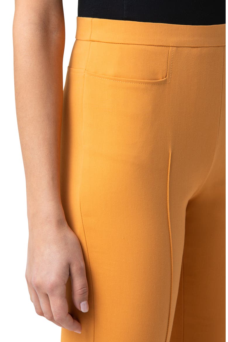 Franca Techno Cotton Blend Ankle Pants, Alternate, color, SUNSHINE POP