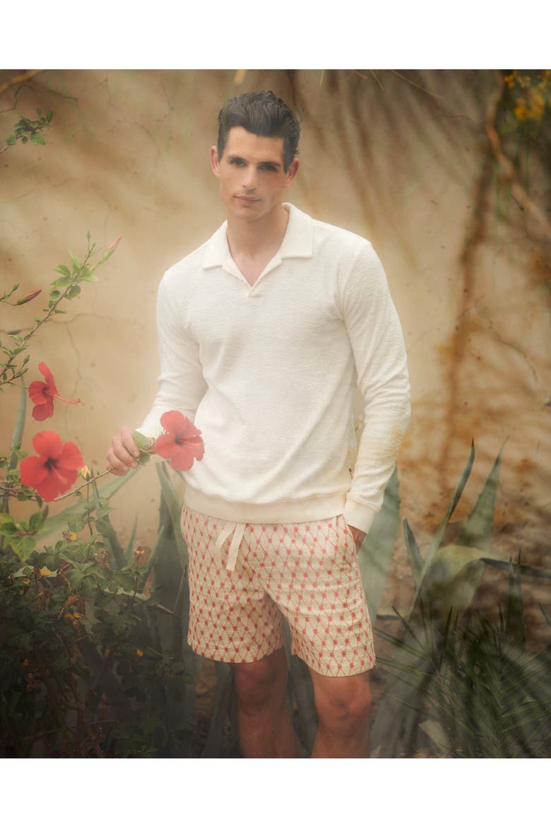 Alex Cotton-Linen Relaxed-Fit Shorts, Alternate, color, SUMMER RED/WHITE SAND