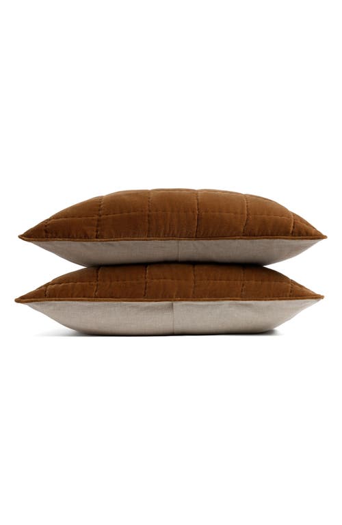 Parachute Set Of 2 Hand Stitched Velveteen Pillow Shams In Brown