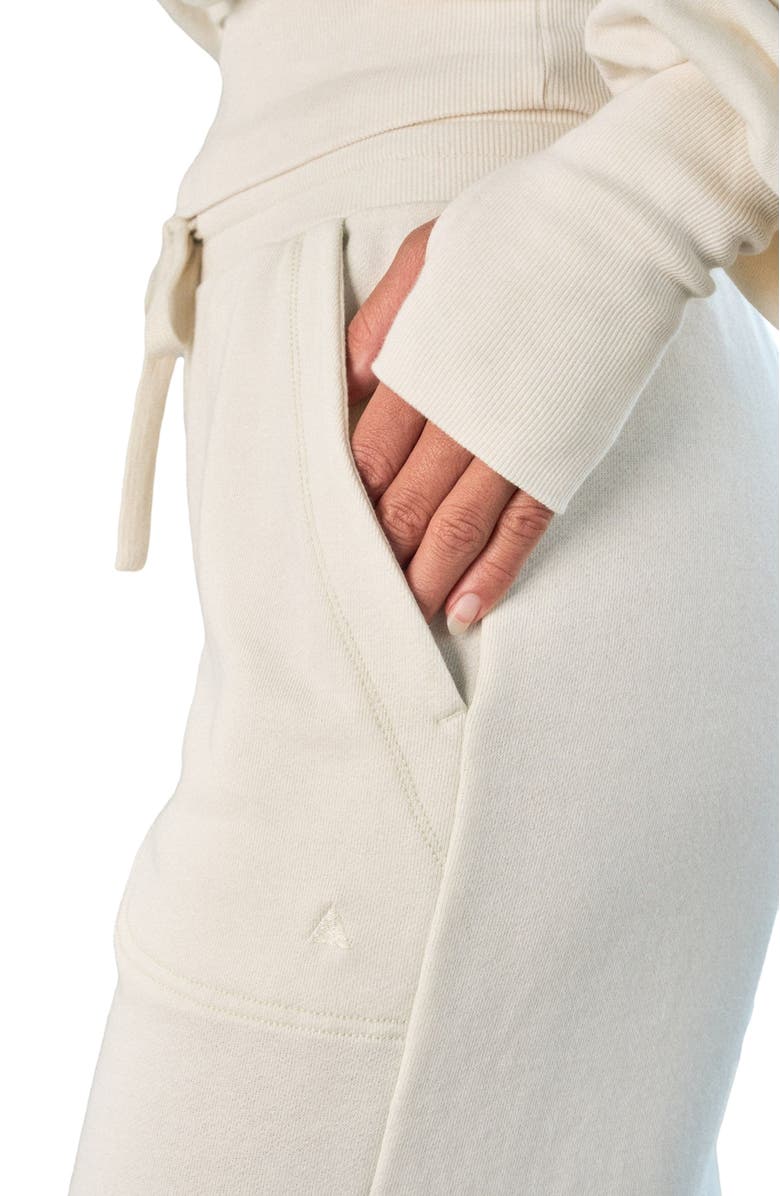 Vitality Remedy Carpenter Pant, Main, color, Bone Washed