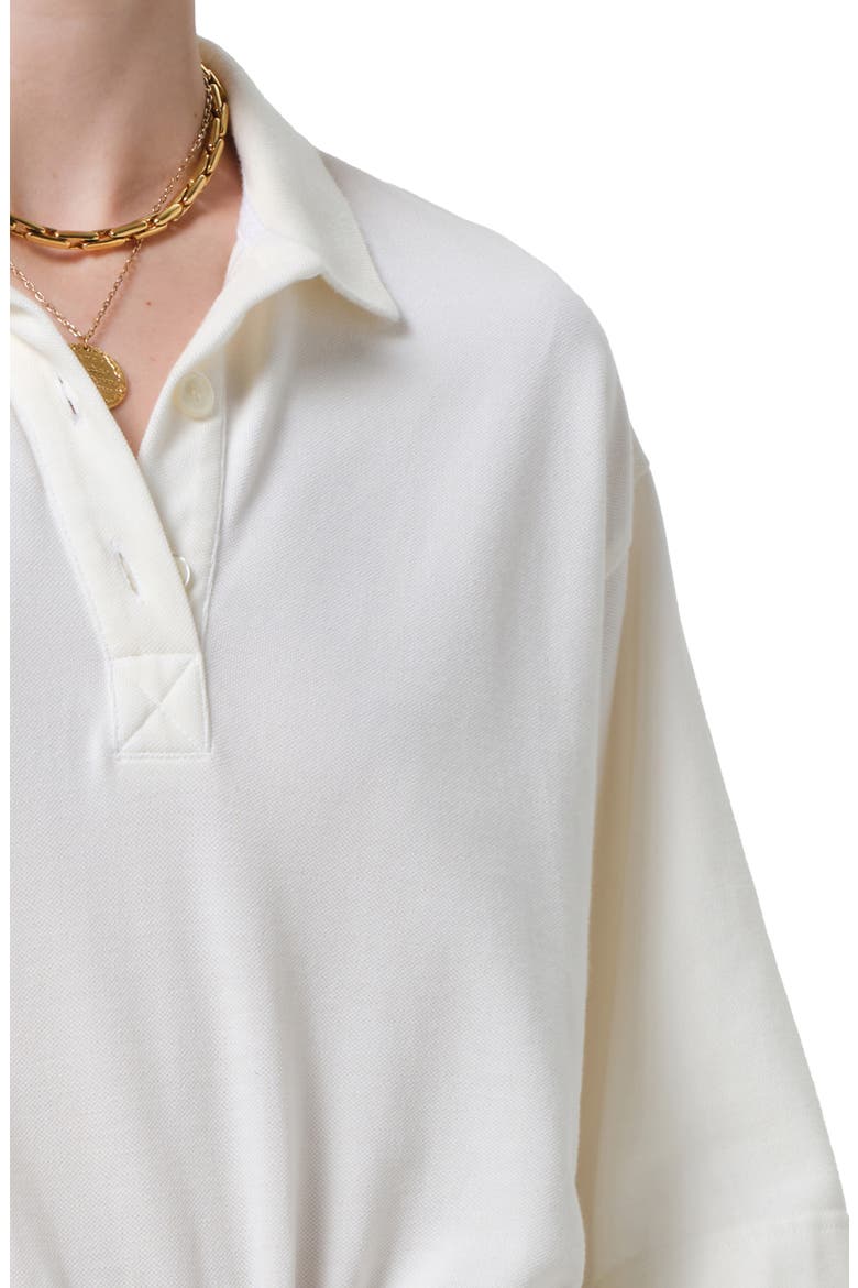 Lowen Oversize Cotton Polo, Alternate, color, PASHMINA