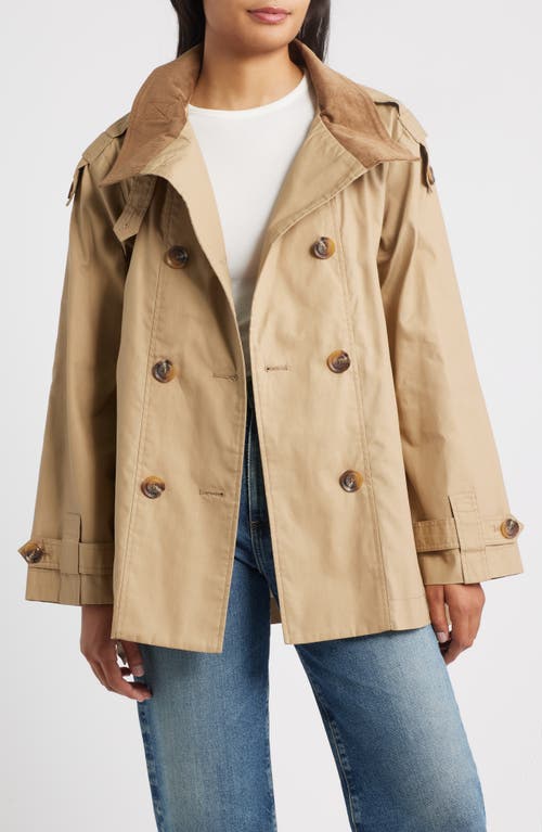 Sam Edelman Courduroy Stand Collar Cotton Trench Coat In Neutral