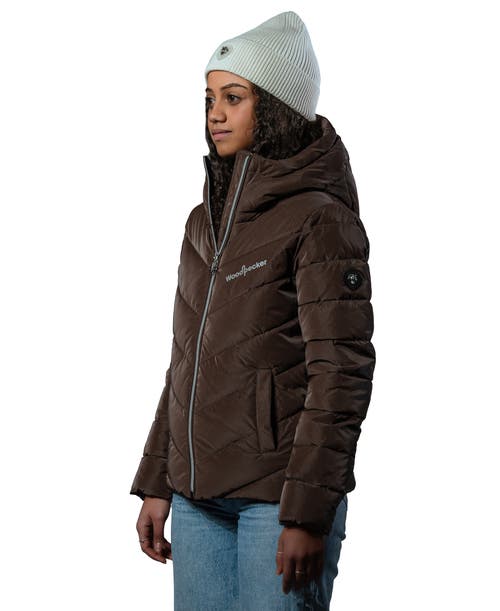Woodpecker Robin Medium Weight Coat In Brown