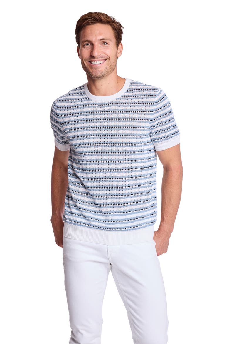 Stripe Short Sleeve Knit T-Shirt, Alternate, color, DUSTY BLUE STRIPES
