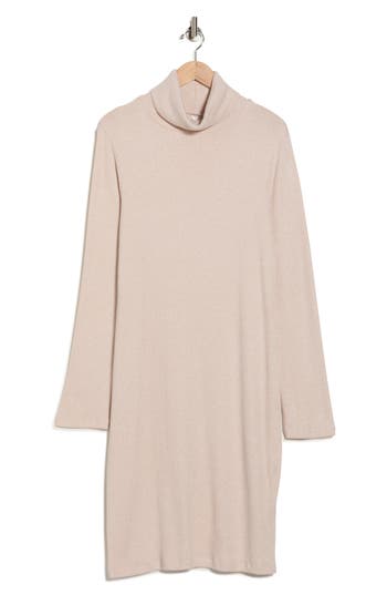 Renee C Long Sleeve Ribbed Turtleneck Dress In Brown