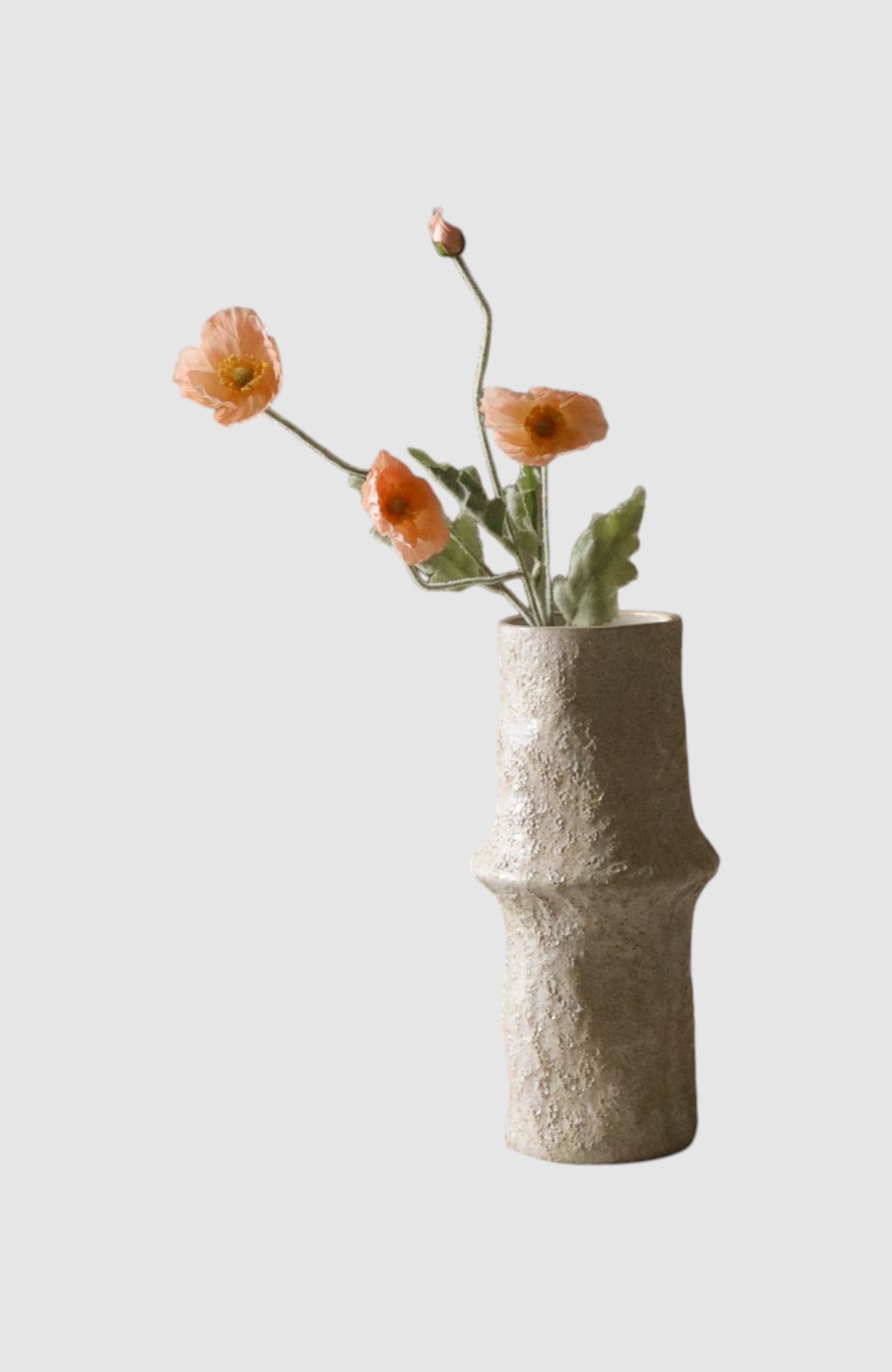 selected Coral
