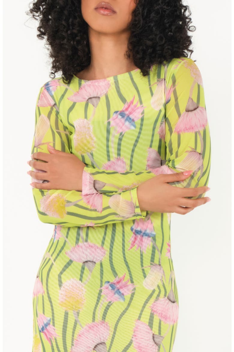 Nellas Paisley Long Sleeve Mesh Maxi Dress, Alternate, color, AUSSIE DESERT FLOWERS