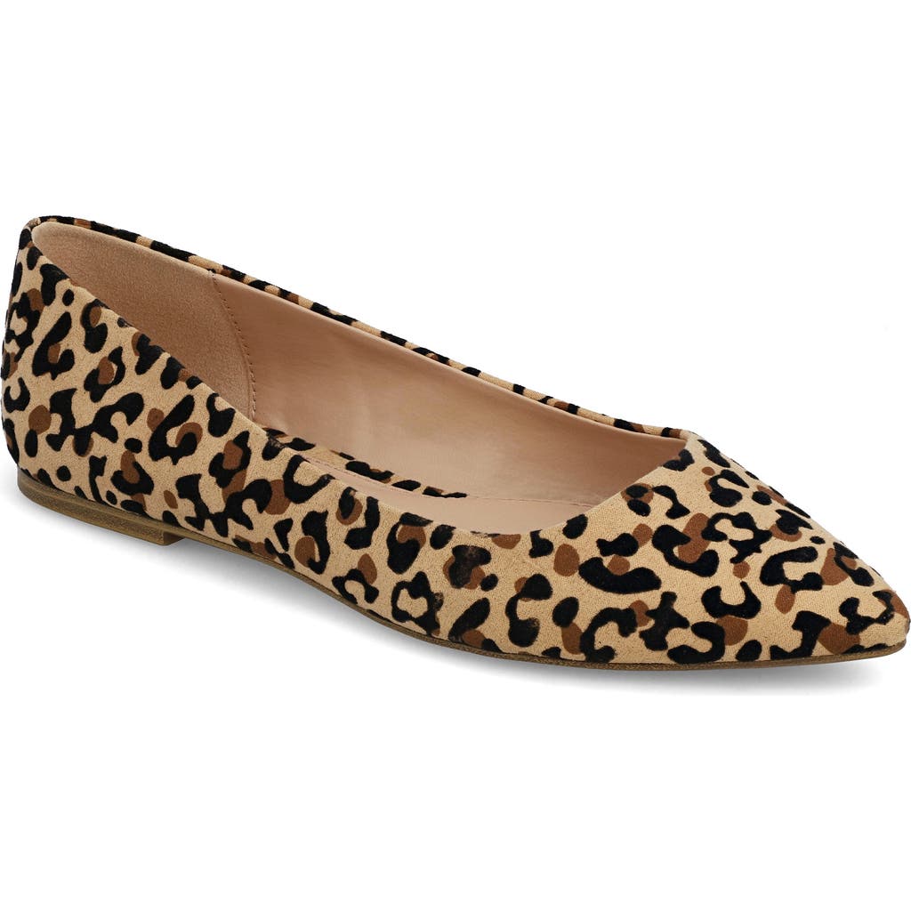 Shop Mia Avi Pointed Toe Flat In Jaguar