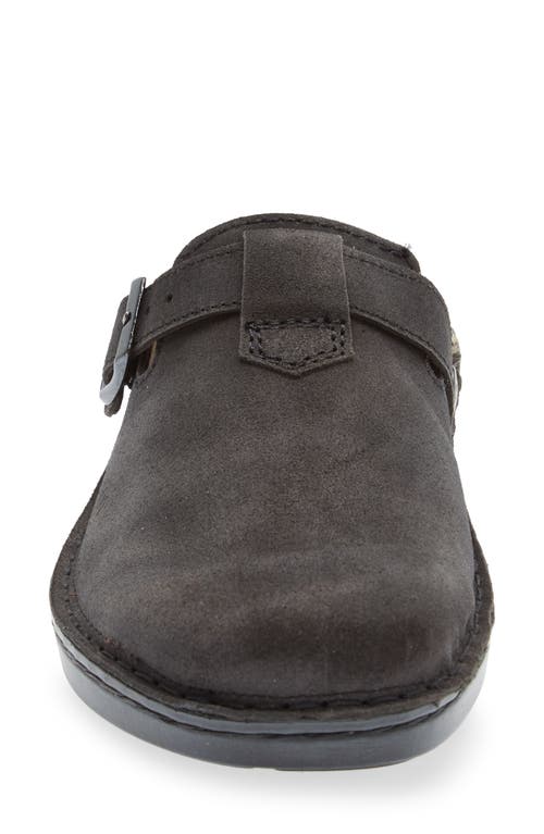 Naot Martos Faux Shearling Mule In Oily Midnight Suede