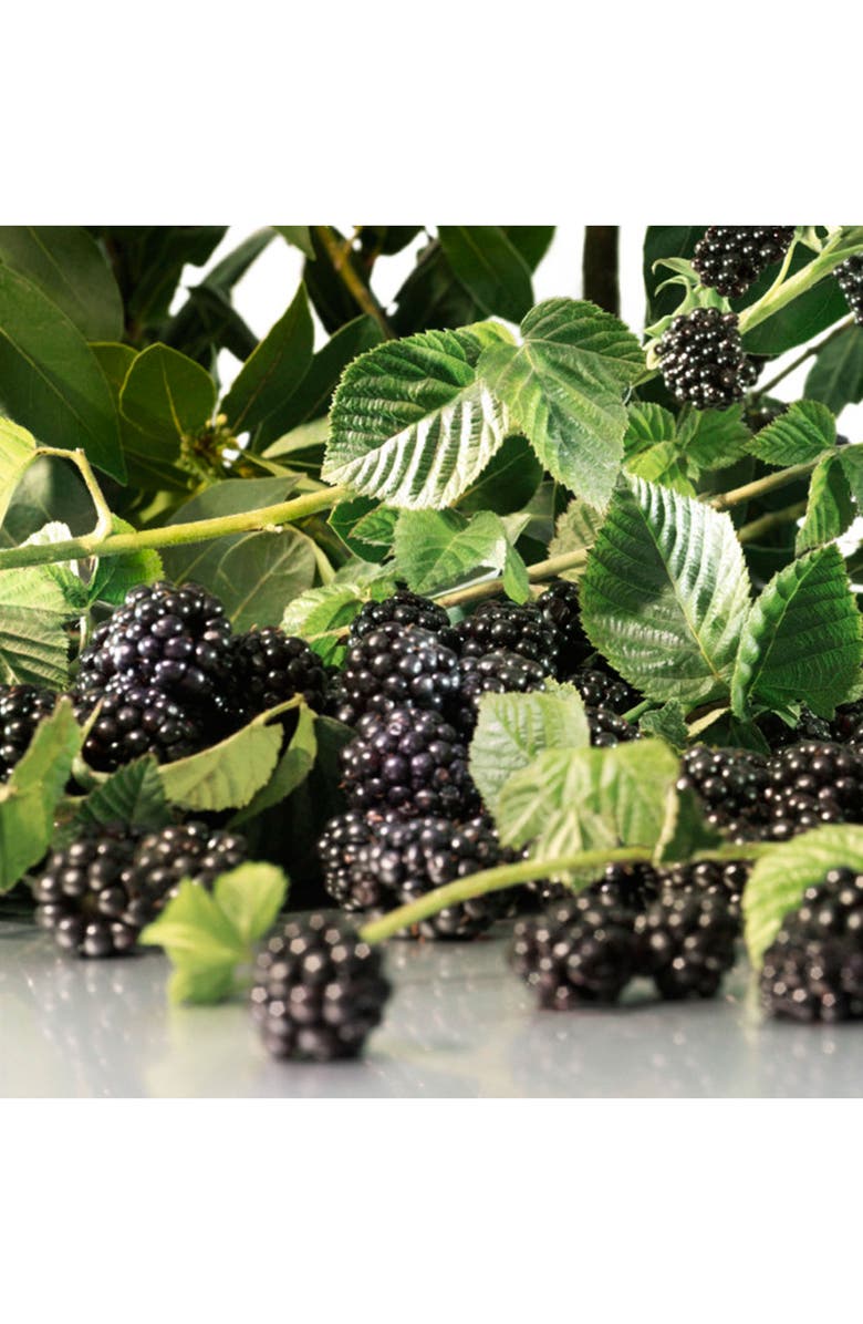 Jo Malone London<sup>™</sup> Blackberry & Bay Body & Hand Lotion, Alternate, color, 