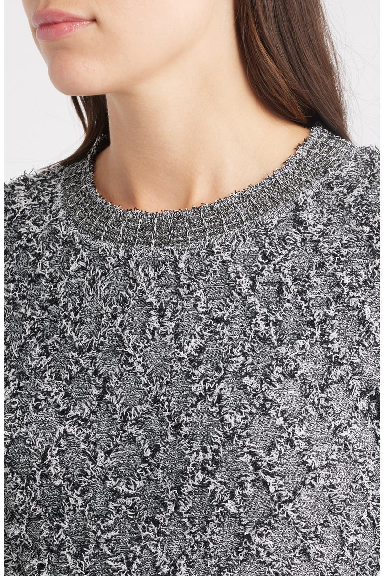 Apollo Fringe Long Sleeve Sweater Dress, Alternate, color, BLACK/ WHITE