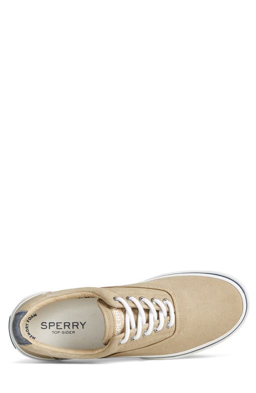 Sperry Top-sider® Sperry Halyard Cvo Recycled Cotton Sneaker In Khaki