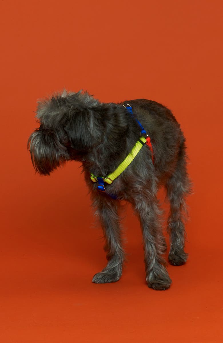 WARE of the DOG Colorblock Dog Harness, Alternate, color, 