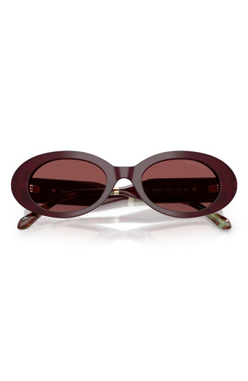 Giorgio Armani 52mm Oval Sunglasses In Brown