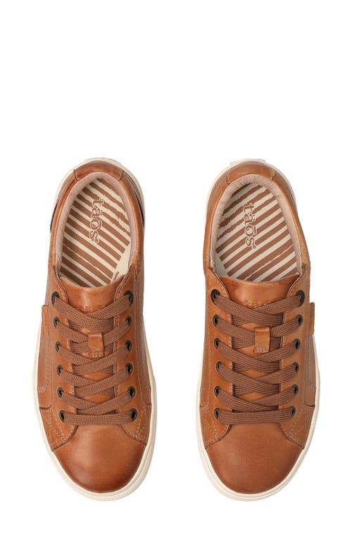 Taos Plim Soul Luxe Sneaker In Multi