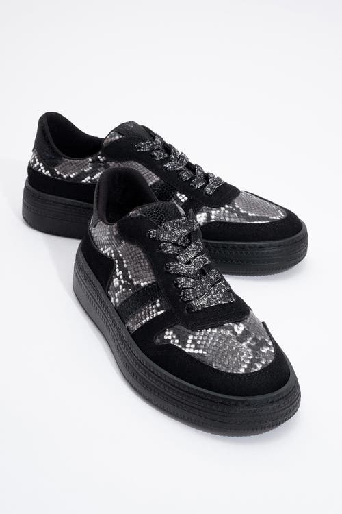 Prologue Shoes Rexie Glitter Sneakers In Multi