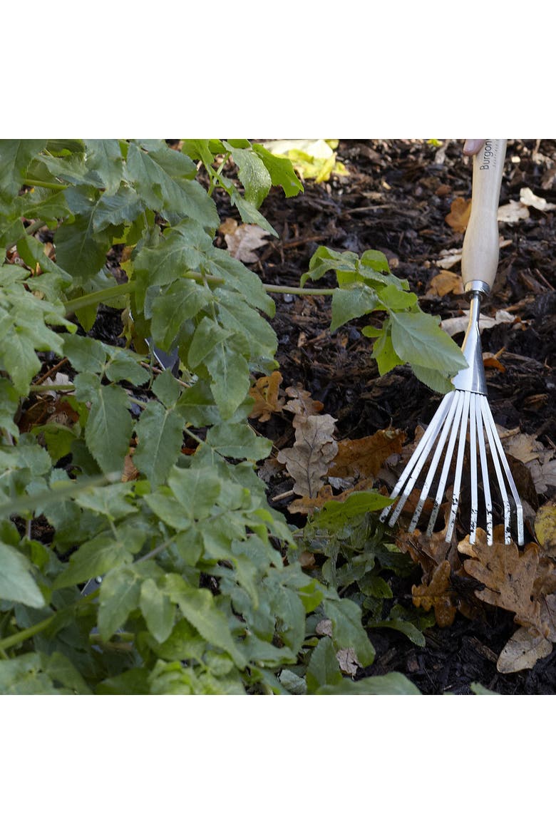 Mid-Handled Stainless Steel Shrub Rake, Alternate, color, Stainless Steel