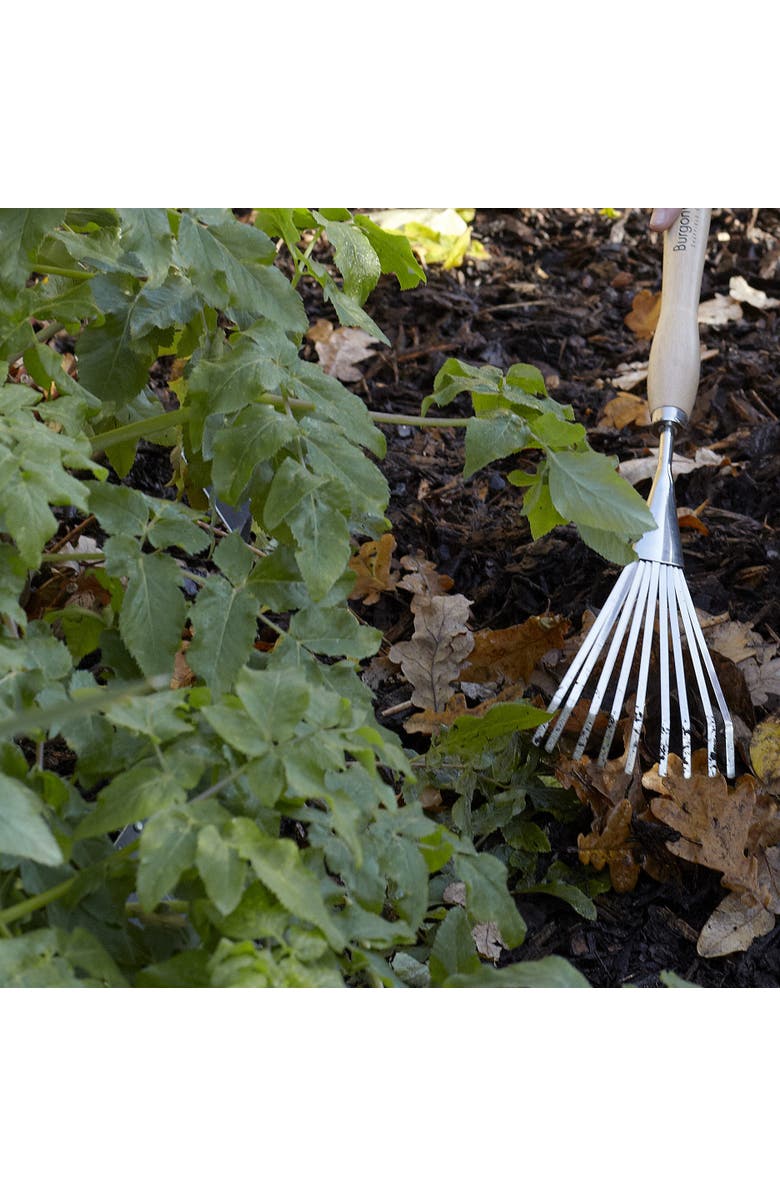 Burgon & Ball Mid-Handled Stainless Steel Shrub Rake, Alternate, color, Stainless Steel