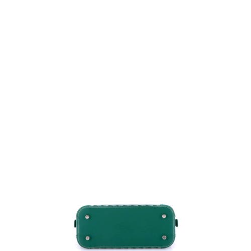 Pre-owned Goyard Goyard Vendome Bag Coated Canvas Mini In Green