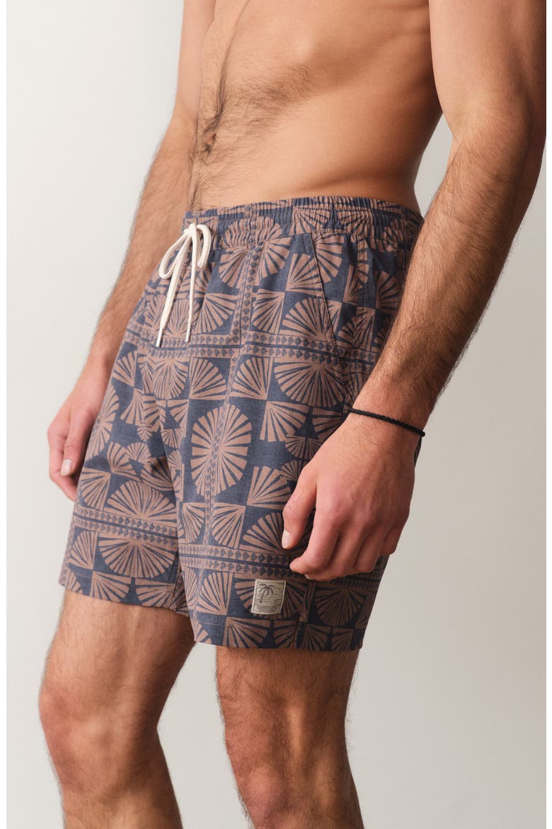 Geo Fan Print Lined Swim Trunks, Alternate, color, BROWN/ NAVY GEO FAN PRINT