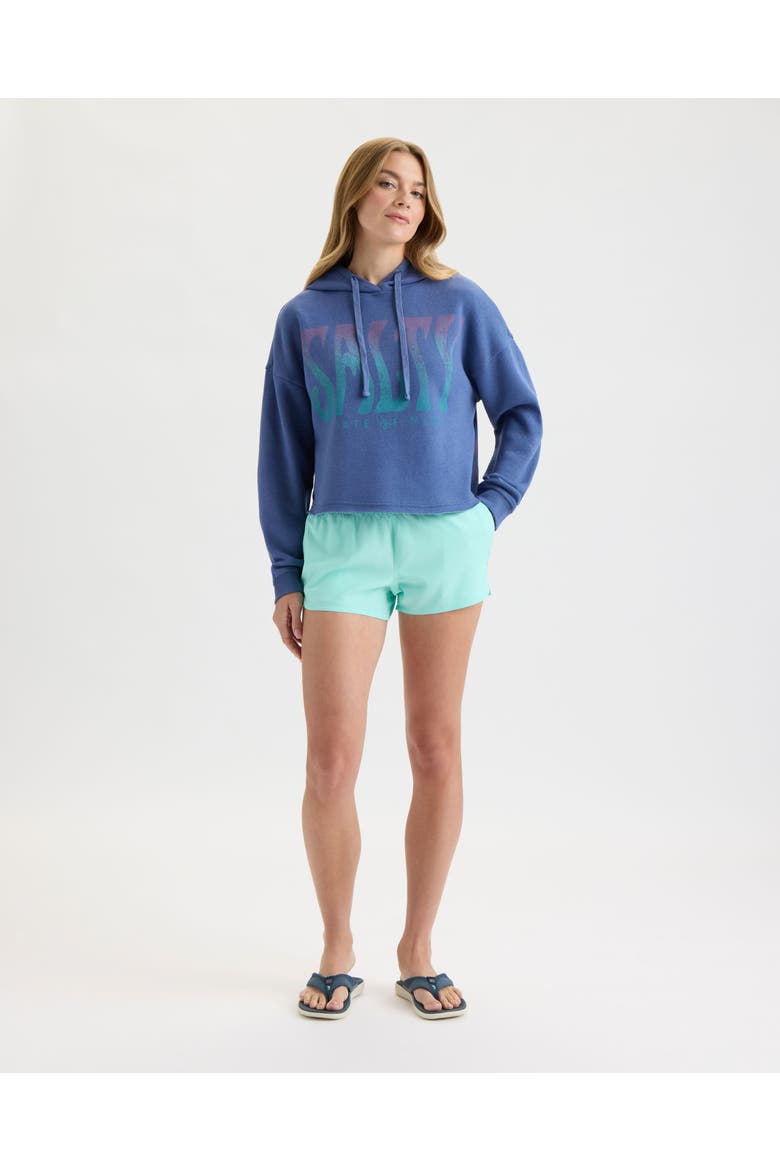 Dazed Cropped Hoodie, Alternate, color, INDIGO
