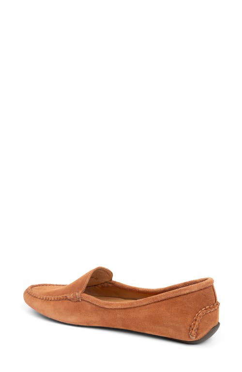 Patricia Green 'jillian' Loafer In Brown