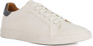 Dune London Traces Low Top Sneaker