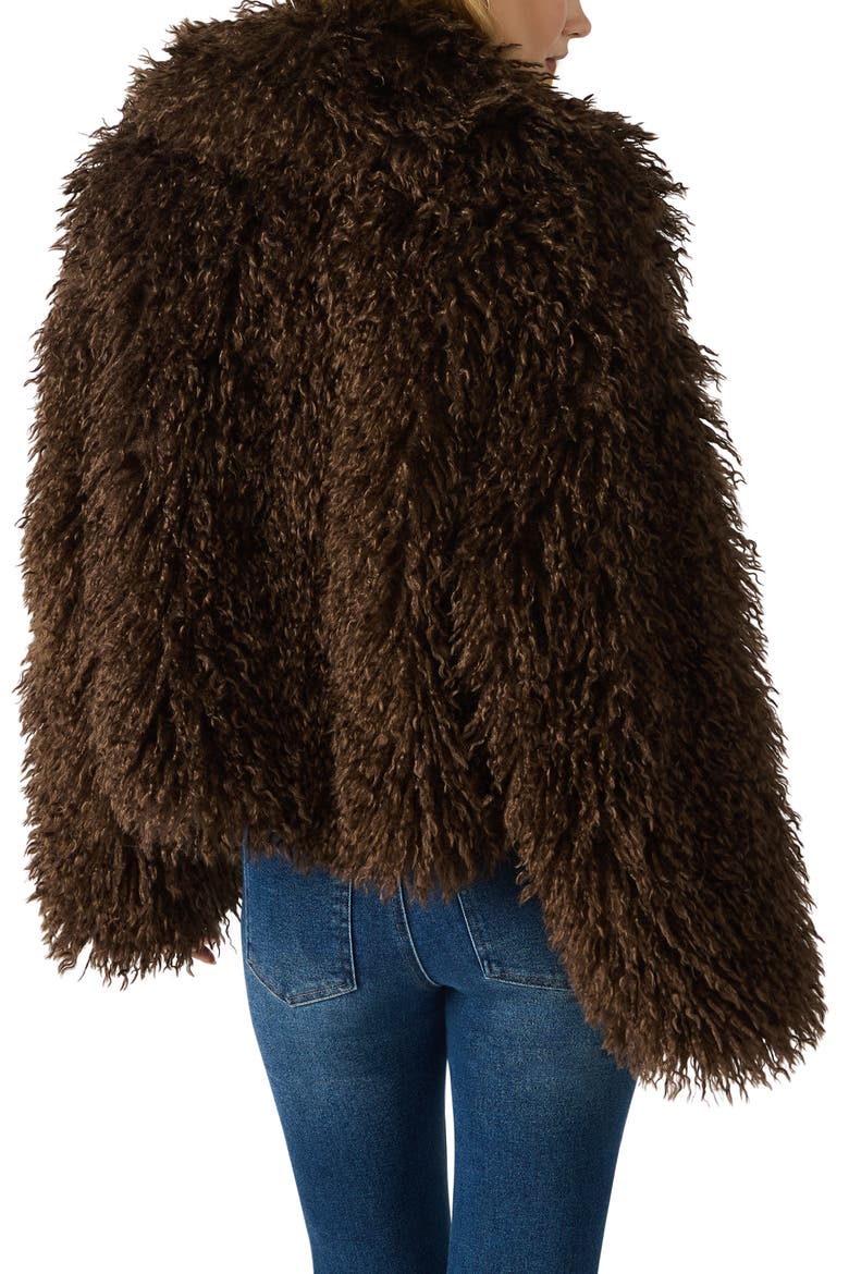 Inaya Faux Fur Jacket, Alternate, color, DARK ESPRESSO