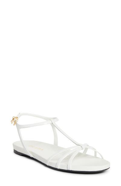 style board product image