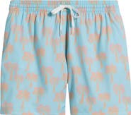 Chubbies The Grooves 5.5-Inch Swim Trunks