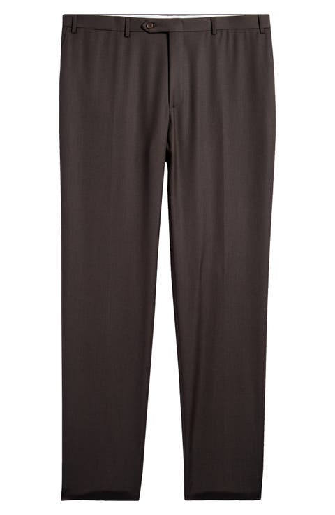 Regular Fit Flat Front Wool Dress Pants (Regular & Big)