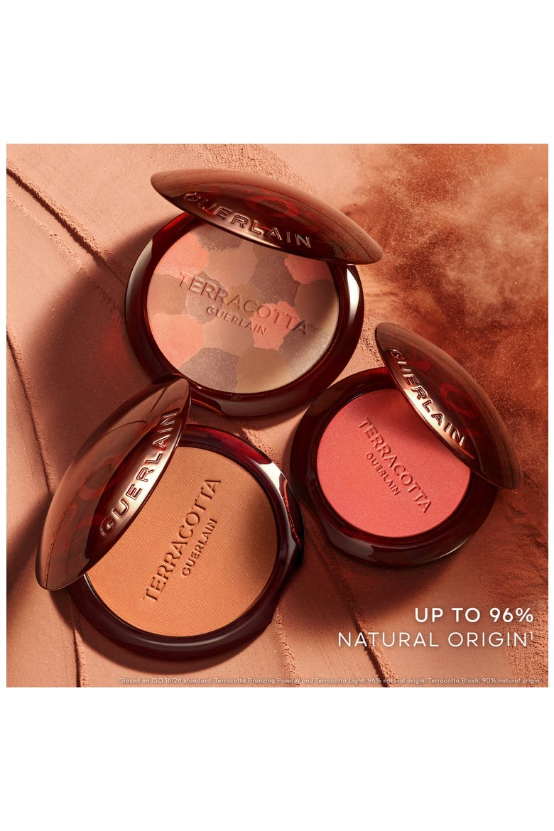 Terracotta Powder Blush, Alternate, color, 03 DEEP NUDE