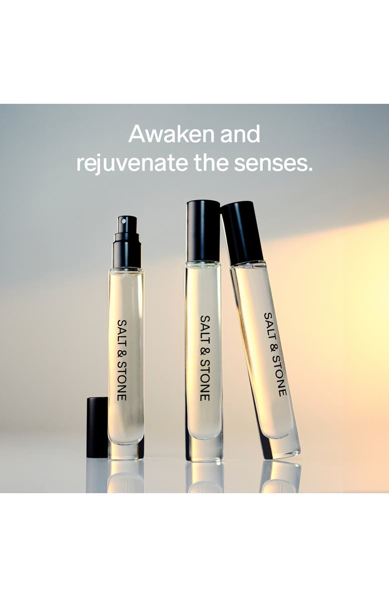 SALT & STONE Body Mist Discovery Set, Alternate, color, 