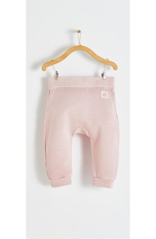 Babycottons Essentials Sweatshirt Baby Set