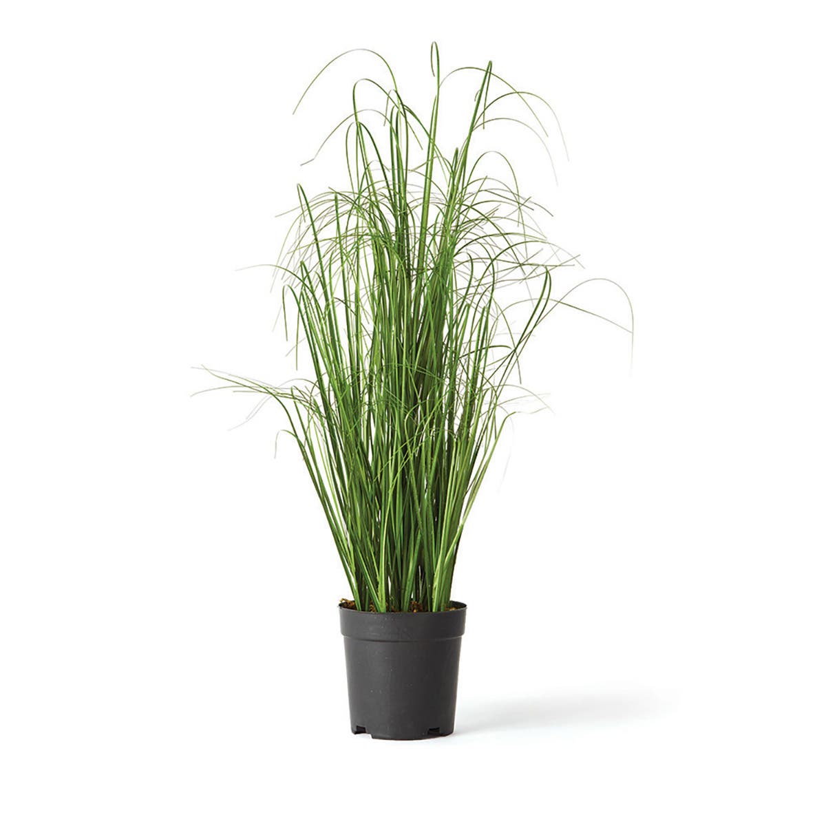 selected Green
