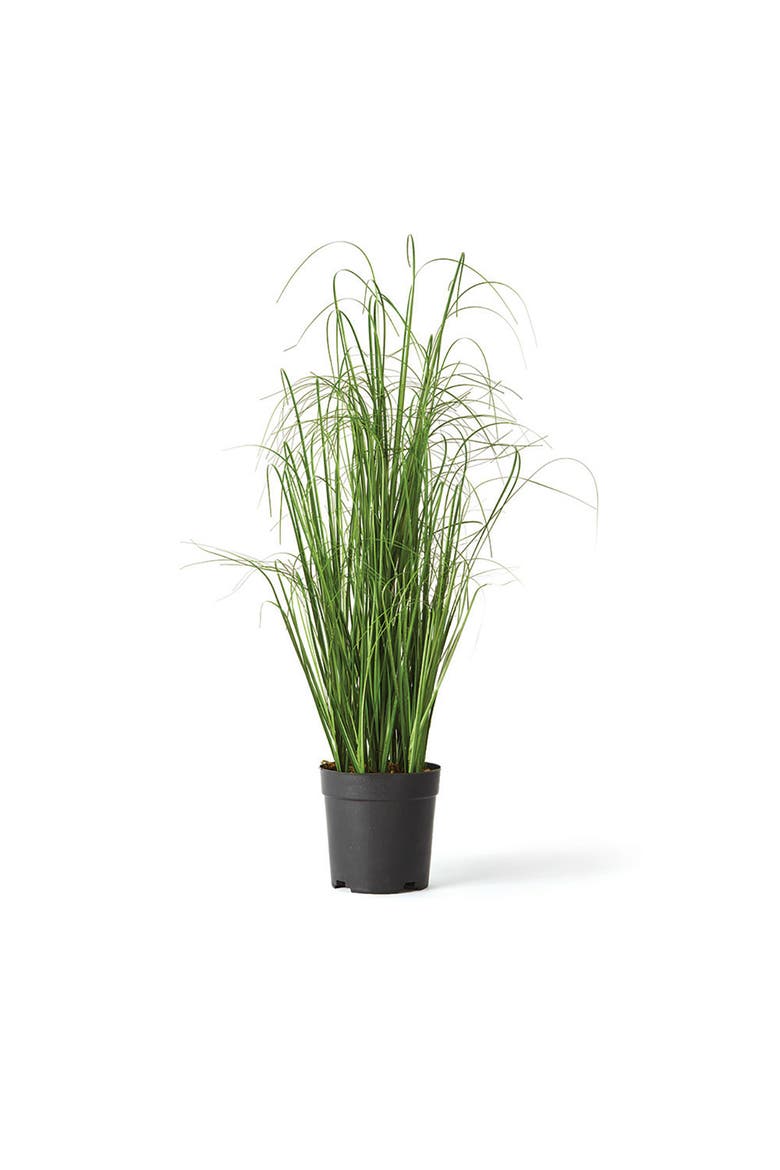 Onion Grass Artificial Drop-In 25", Main, color, Green