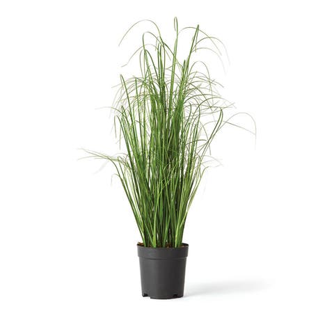 Onion Grass Artificial Drop-In 25"