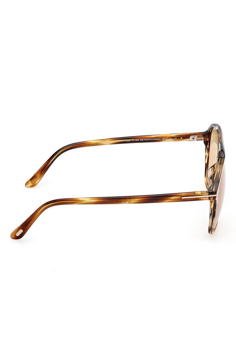 TOM FORD Autari 56mm Navigator Sunglasses, Alternate, color, Havana/ Other / Brown