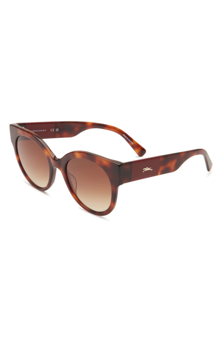 Longchamp 53mm Gradient Round Sunglasses, Alternate, color, Havana