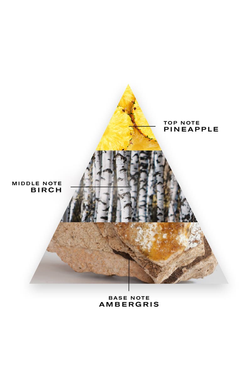 Creed Aventus En Voyage Travel Atomizer Fragrance Set, Alternate, color,